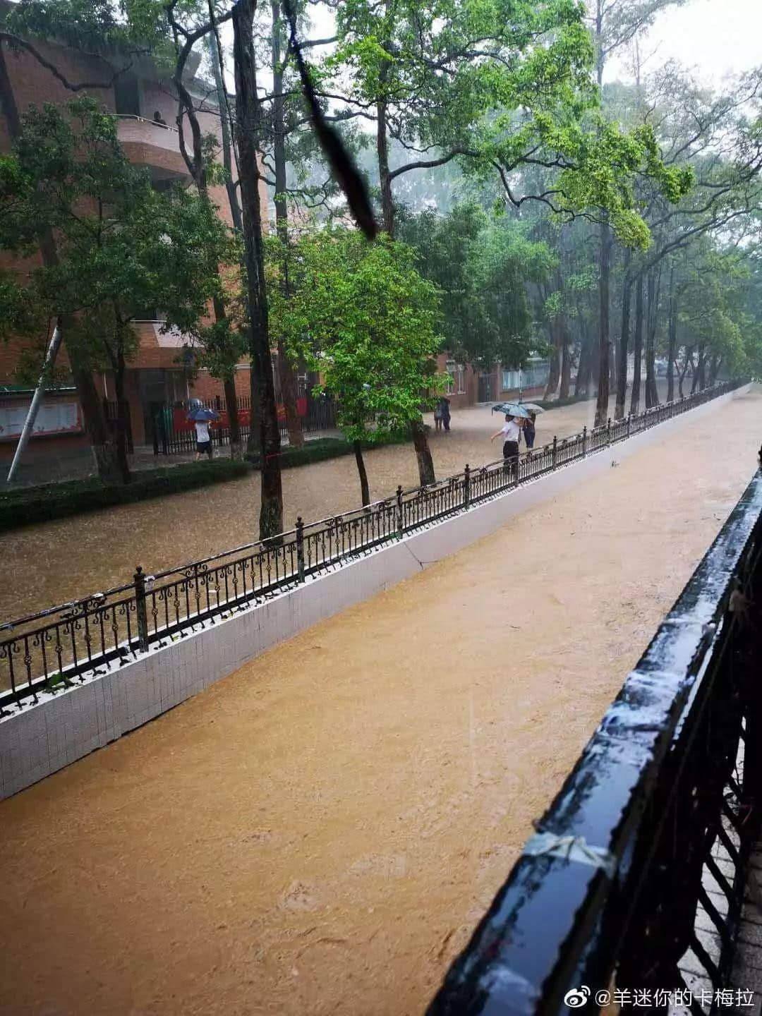 熱烈慶祝，廣州暴雨+熱搜包月套餐生成！