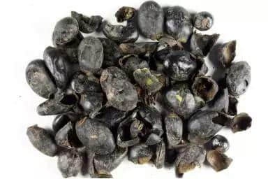 廣州：謝謝你們六位，陪了我1000年！