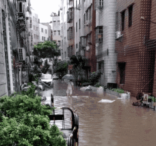 熱烈慶祝，廣州暴雨+熱搜包月套餐生成！