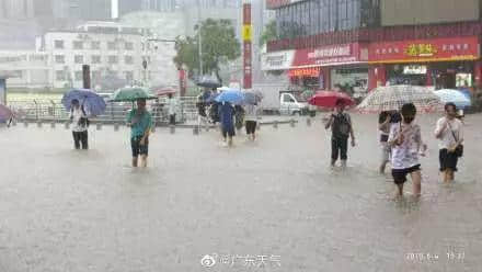 熱烈慶祝，廣州暴雨+熱搜包月套餐生成！