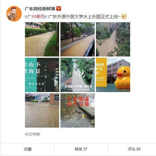 熱烈慶祝，廣州暴雨+熱搜包月套餐生成！