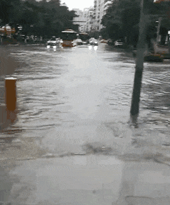 熱烈慶祝，廣州暴雨+熱搜包月套餐生成！