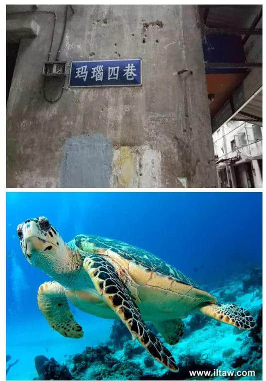 廣州：謝謝你們六位，陪了我1000年！