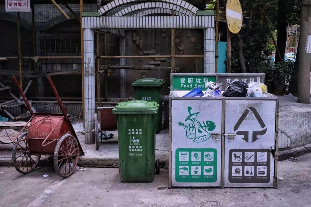 我們走上街頭，體驗了一下廣州的垃圾分類