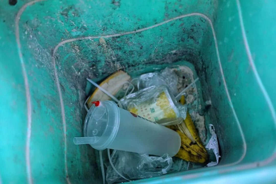 我們走上街頭，體驗了一下廣州的垃圾分類