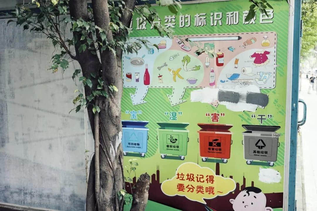 我們走上街頭，體驗了一下廣州的垃圾分類
