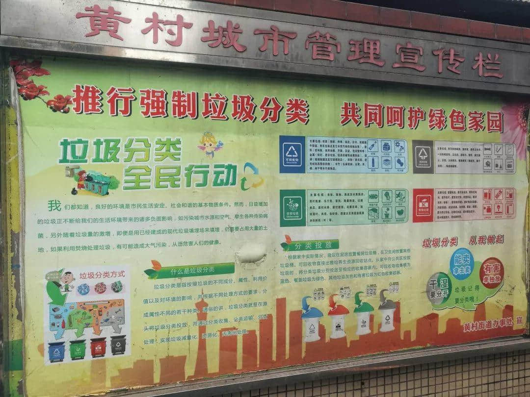 我們走上街頭，體驗了一下廣州的垃圾分類