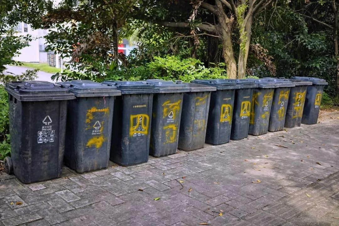 我們走上街頭，體驗了一下廣州的垃圾分類