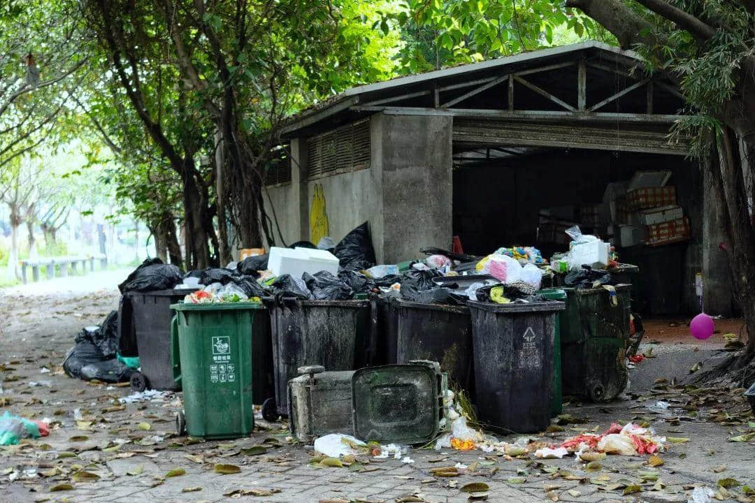 我們走上街頭，體驗了一下廣州的垃圾分類