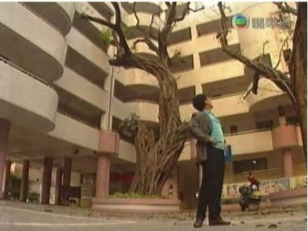 回歸22年，香港人對(duì)廣州的偏見(jiàn)改變了嗎？
