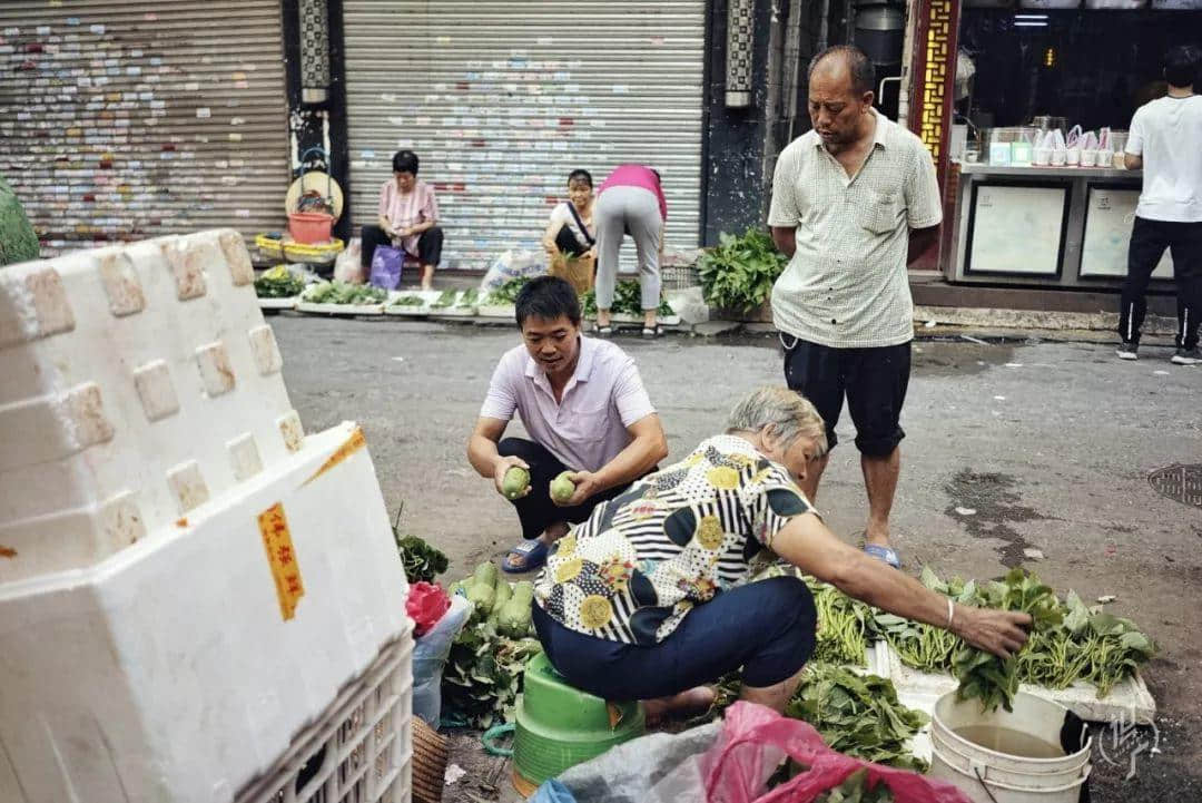 最后的瀝滘菜農(nóng) 最后的瀝滘菜農(nóng)
