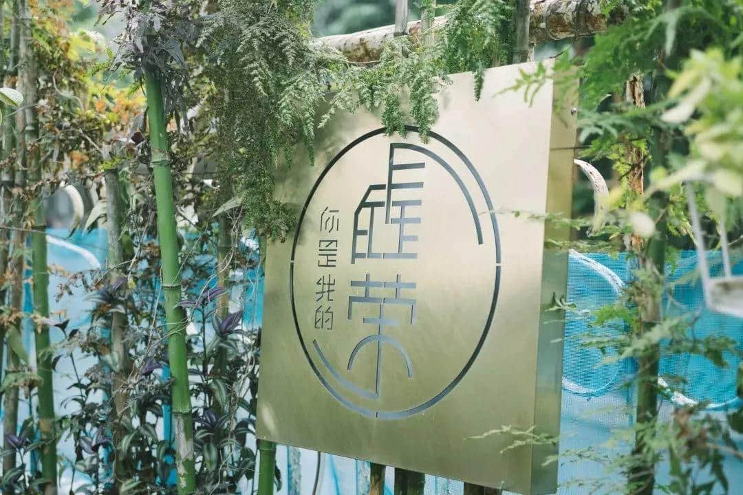 比起獵德村，五羊邨有什么吸引人？