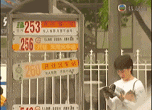 回歸22年，香港人對(duì)廣州的偏見(jiàn)改變了嗎？