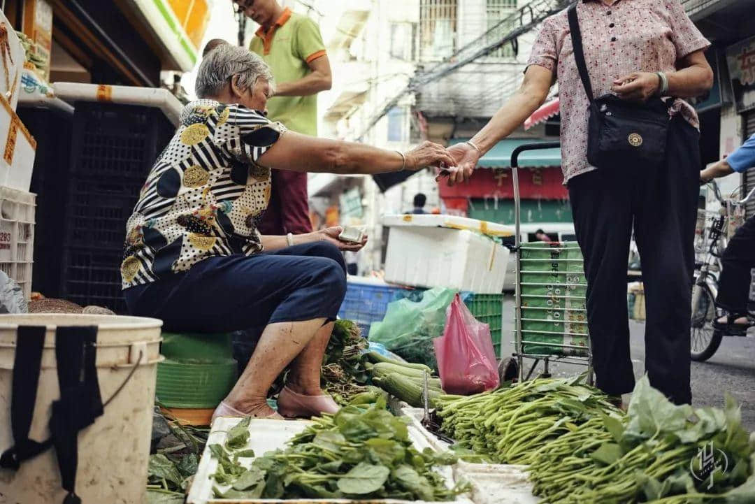 最后的瀝滘菜農(nóng) 最后的瀝滘菜農(nóng)