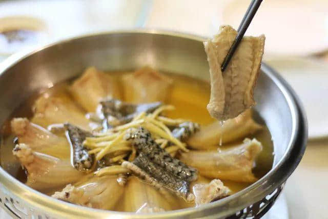 【欣知食】| 什么都敢吃的廣東人，怎么吃蛇？