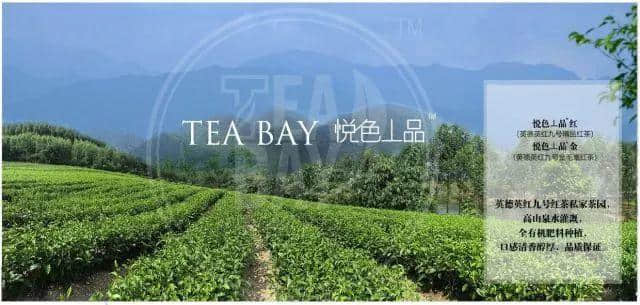 【欣知食】| 胡歌看不懂《挪威的森林》，懷石料理教會你
