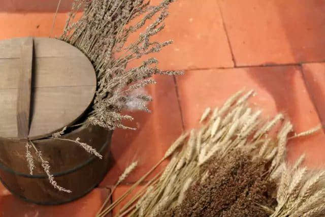 【欣知食】| “十年老菜脯，一口就想哭”，潮汕老饕說《潮汕老厝》