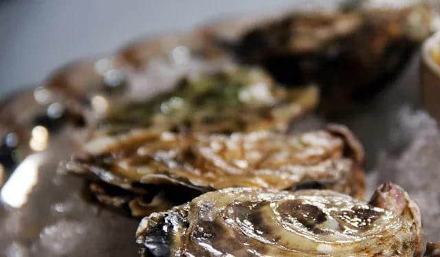 【欣知食】| 吃生蠔，也要經(jīng)歷冰火兩重天？