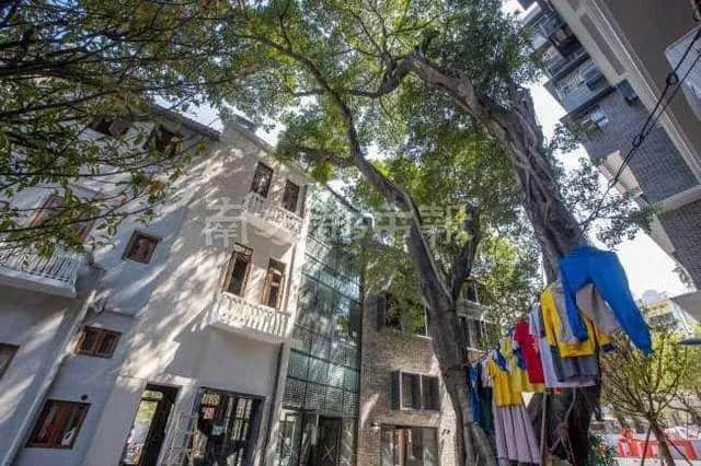 廣州人十一假期最全攻略，有咩地方人少仲抵玩？