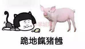 秋風(fēng)起，食你鹵味