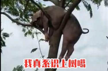 秋風(fēng)起，食你鹵味