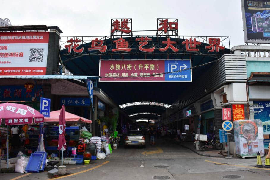 芳村還能存在多久？