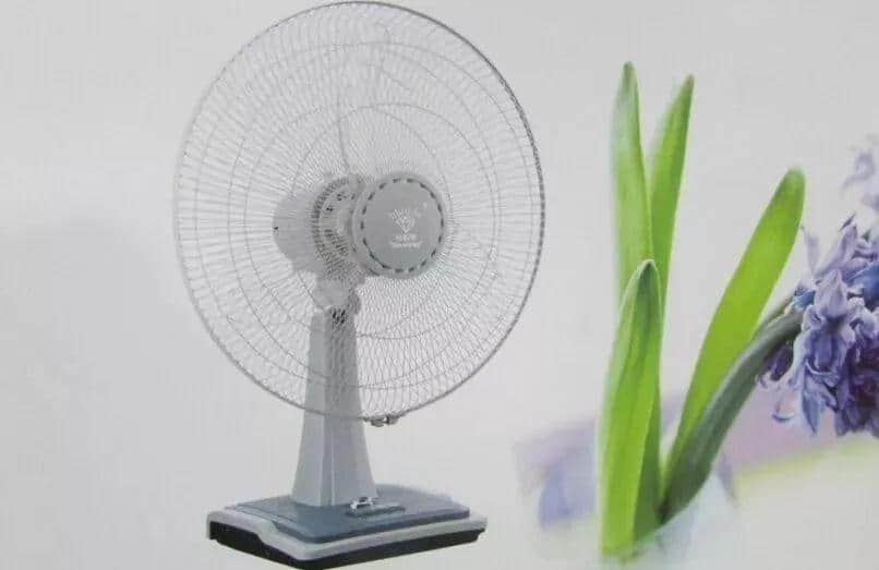 美食主播劉澄霖：廣貨不僅要實用，還要有顏值