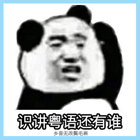 《2019廣東人生存年度總結(jié)》，過(guò)于真實(shí)，已被拉黑