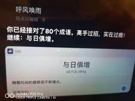 因?yàn)樾滦头窝讗灥桨l(fā)毛嘅廣東人，如何喺屋企解悶？