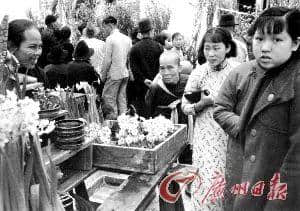 即使日軍兵臨城下，也不能阻擋廣州人買(mǎi)花買(mǎi)年桔！