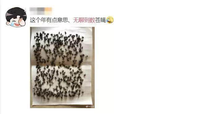 因?yàn)樾滦头窝讗灥桨l(fā)毛嘅廣東人，如何喺屋企解悶？
