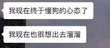 因?yàn)樾滦头窝讗灥桨l(fā)毛嘅廣東人，如何喺屋企解悶？
