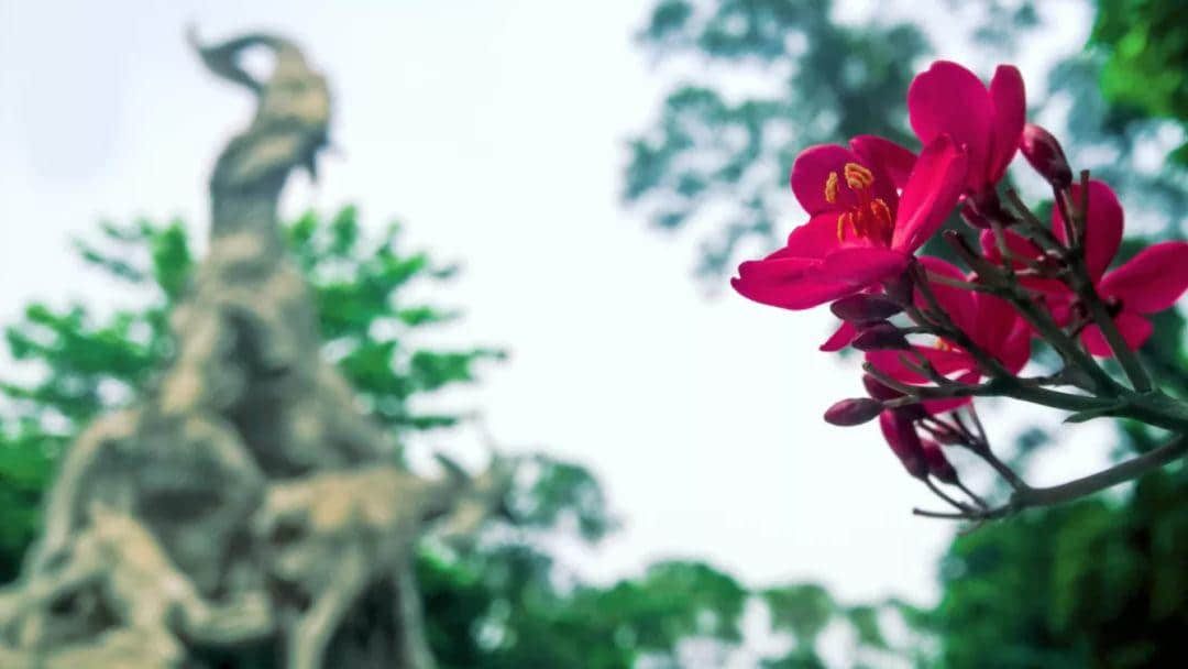 國際母語日 | 繼續(xù)講粵語，是我們最后的倔強(qiáng)！