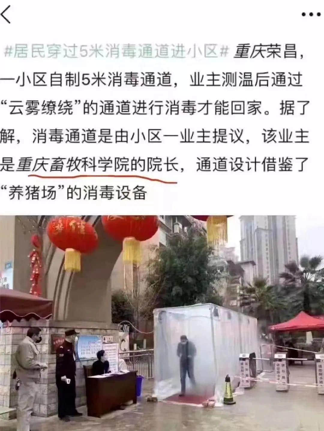 揭秘疫情災難下的9大思維謬誤，最后一條才是真正的悲哀