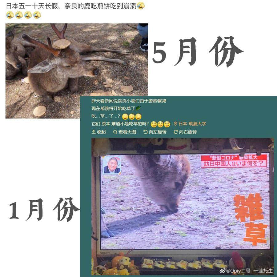 經(jīng)過這個超長假期，誰能不服廣東人的創(chuàng)造力！