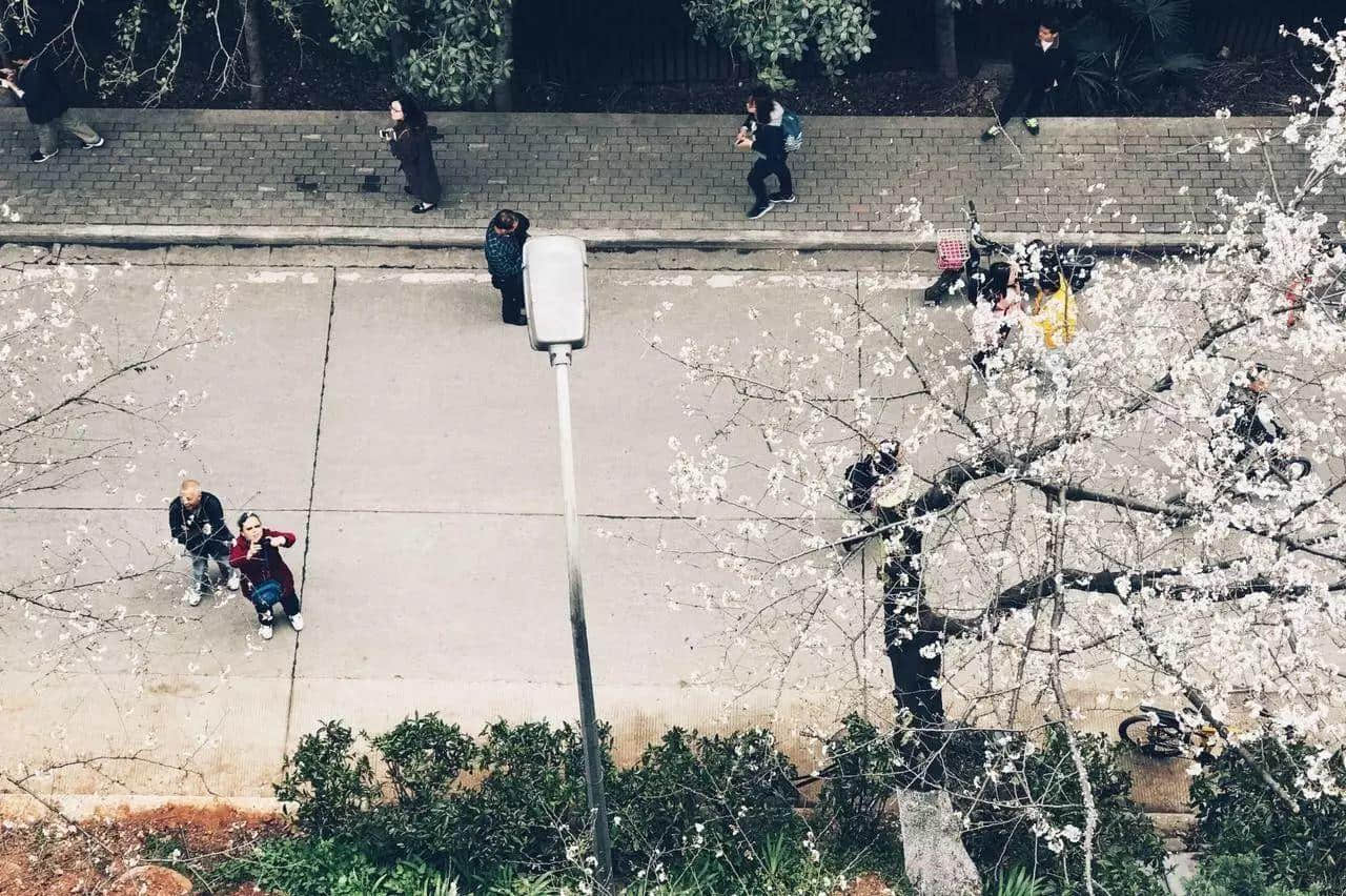 武漢印象
