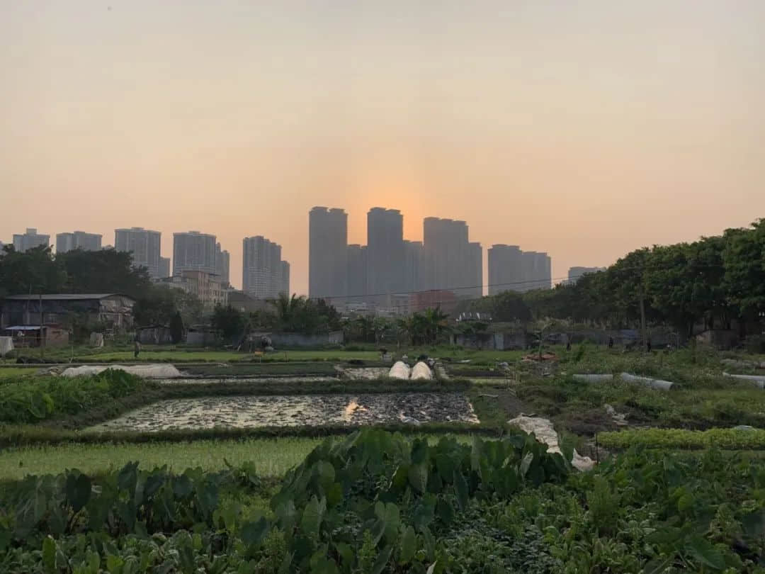 上帝視角的廣州是什么模樣？