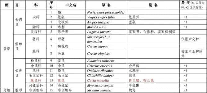 廣東“野味”，該不該被一棍子打死？