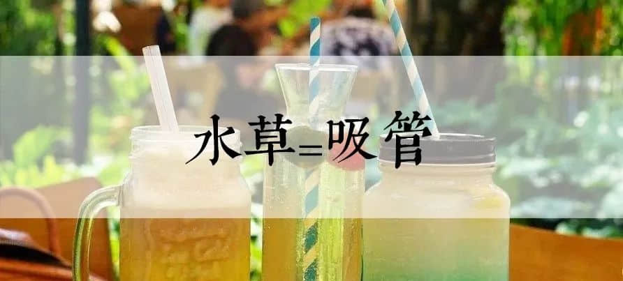 馬來(lái)西亞會(huì)是傳承粵語(yǔ)最后的海外基地嗎？