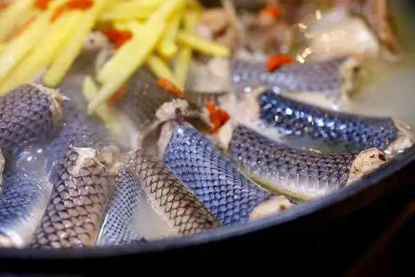 廣東“野味”，該不該被一棍子打死？