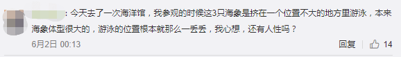 繼“最悲傷北極熊”后，正佳海洋世界又現(xiàn)“海象行商場”？