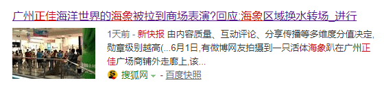 繼“最悲傷北極熊”后，正佳海洋世界又現(xiàn)“海象行商場”？