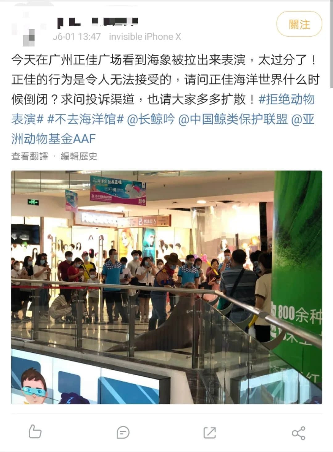 繼“最悲傷北極熊”后，正佳海洋世界又現(xiàn)“海象行商場”？
