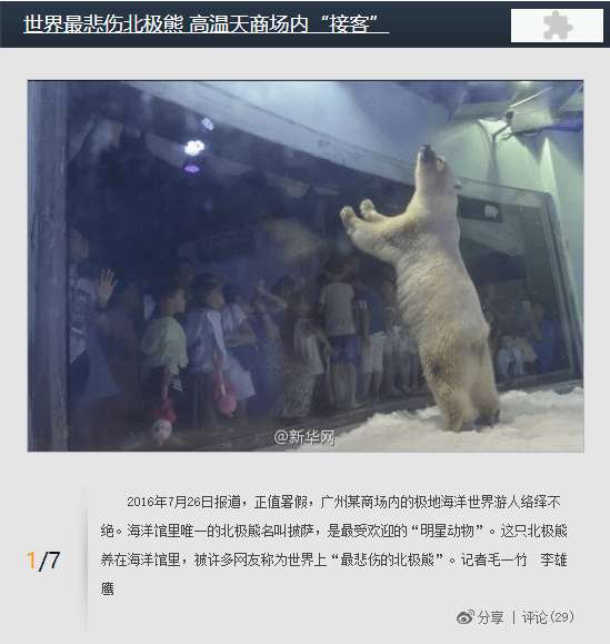 繼“最悲傷北極熊”后，正佳海洋世界又現(xiàn)“海象行商場”？