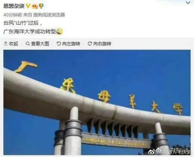 在湛江，我們找回廣州失去的隱秘角落