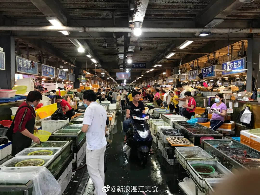 在湛江，我們找回廣州失去的隱秘角落