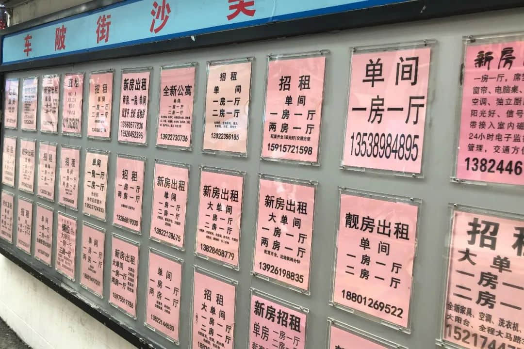 車陂2020：沒有龍舟，生活一樣火熱