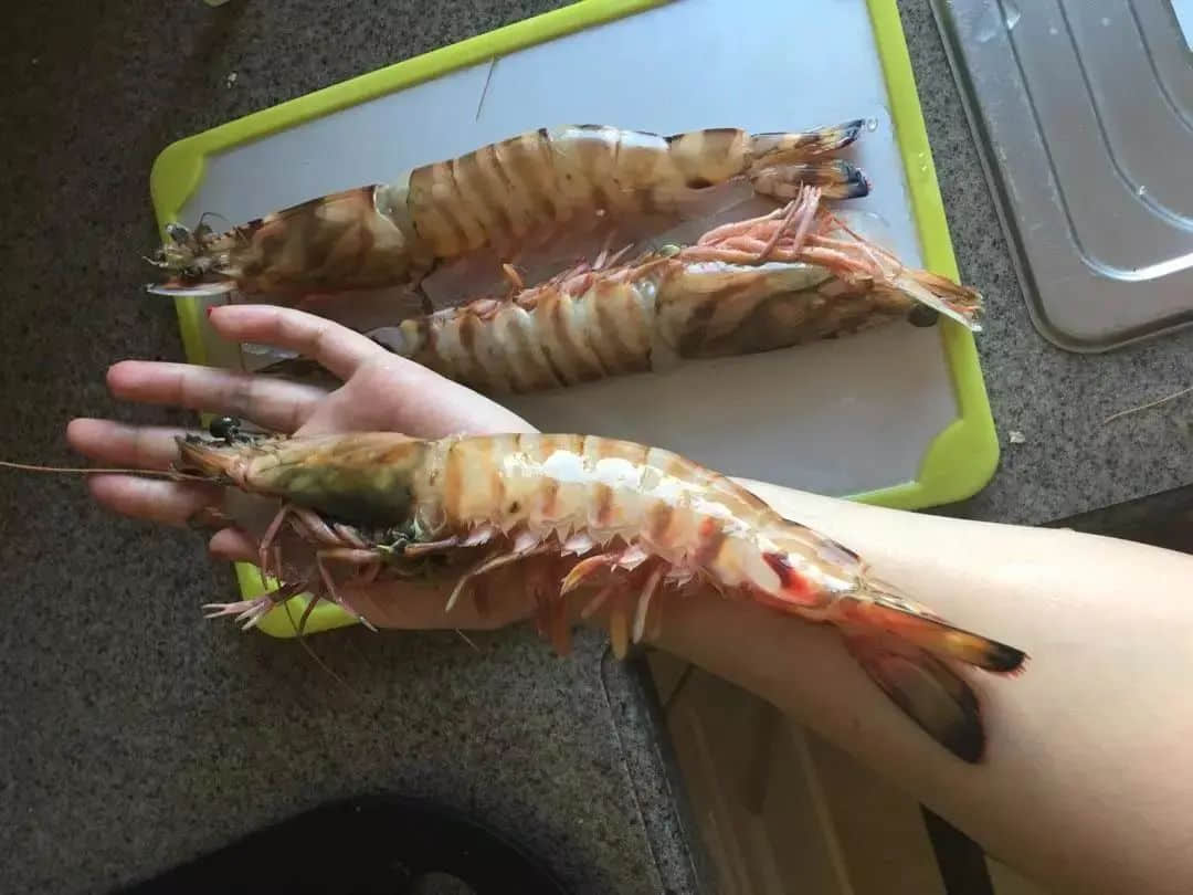 在湛江，我們找回廣州失去的隱秘角落