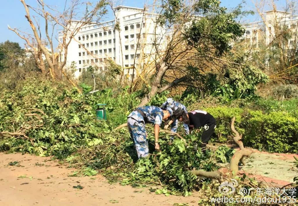 在湛江，我們找回廣州失去的隱秘角落