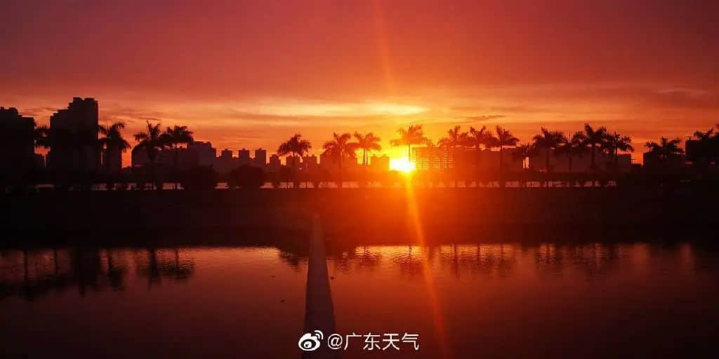 在湛江，我們找回廣州失去的隱秘角落